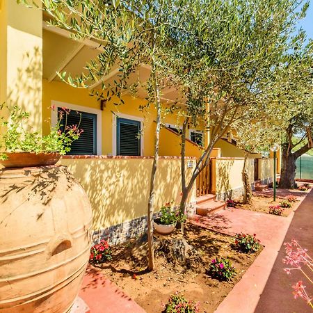 Villaggio Residence Pietra Grigia Marina di Camerota Ngoại thất bức ảnh