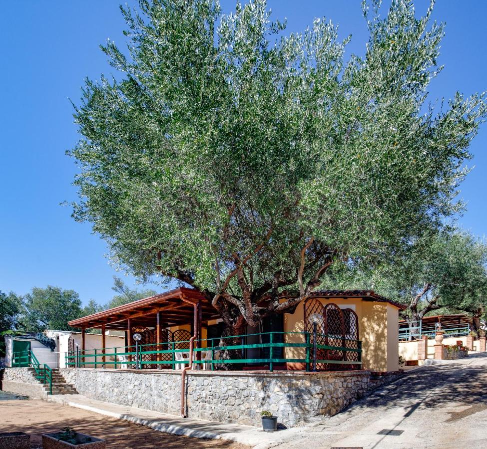 Villaggio Residence Pietra Grigia Marina di Camerota Ngoại thất bức ảnh